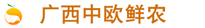 首页