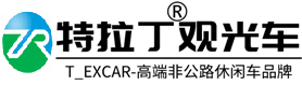 电动观光车,电动巡逻车,电动老爷车,电动消防车,电动高尔夫球车,电动载货车,电动搬运车,电动小火车,燃油观光车