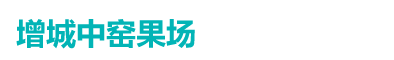 广州龙眼采摘