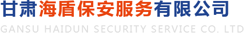 保安劳务服务