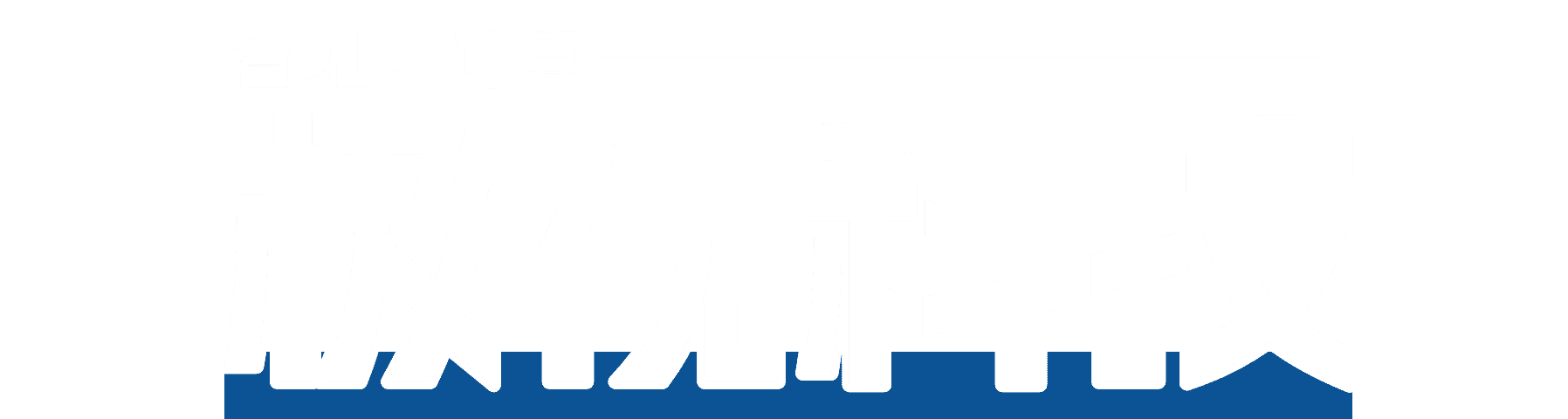极视科技