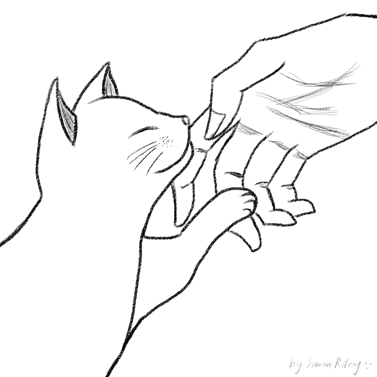首页
