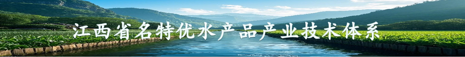 鄱阳湖水产网