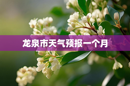 天气报告
