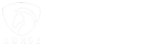 反窃听检测公司