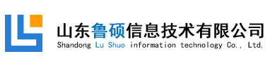 山东鲁硕信息技术有限公司