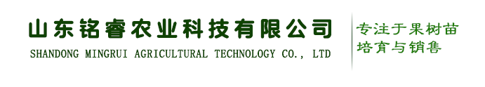 苹果苗品种