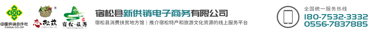 宿松县新供销电子商务有限公司