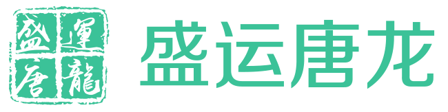 盛运唐龙教育科技有限公司