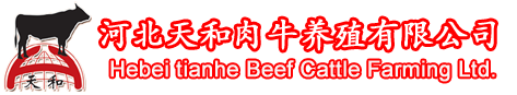 河北天和肉牛养殖有限公司
