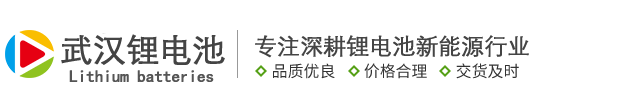 武汉锂电池